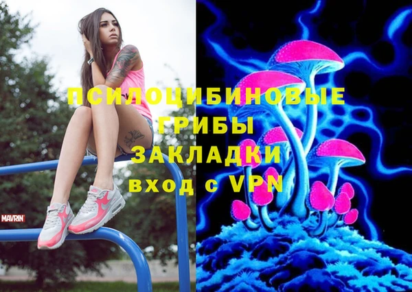 твердый Алзамай